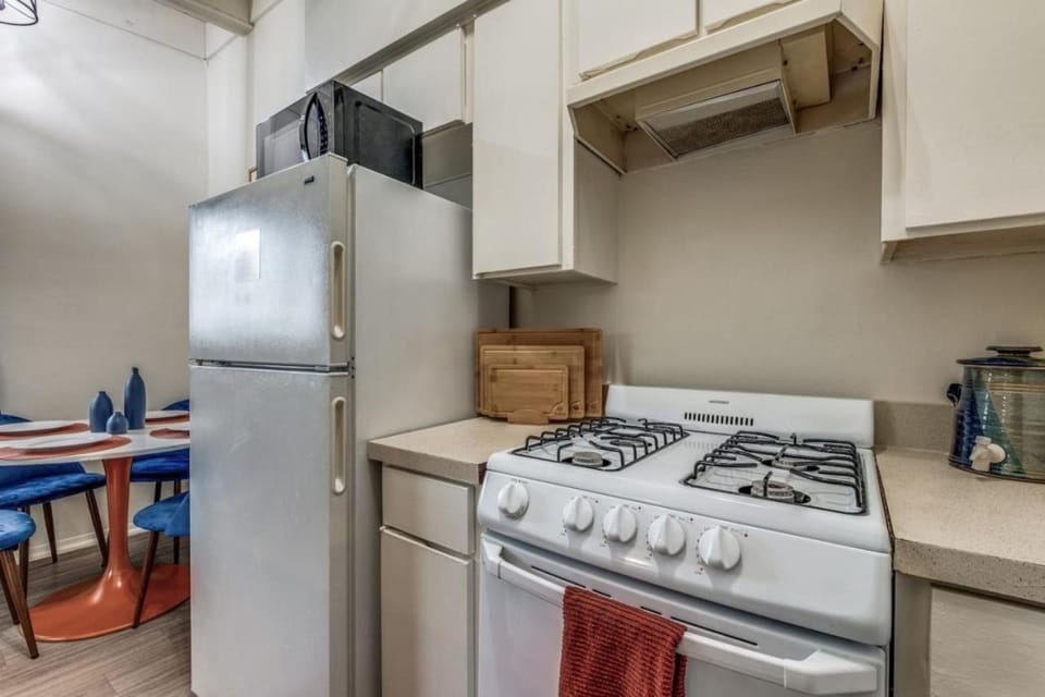 Austin Central Modern Comfort Pet-Friendly Apartment in Austin