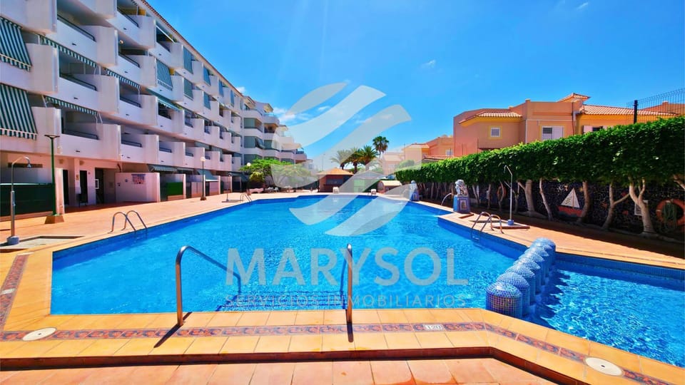 Swimming pool, sunbed
