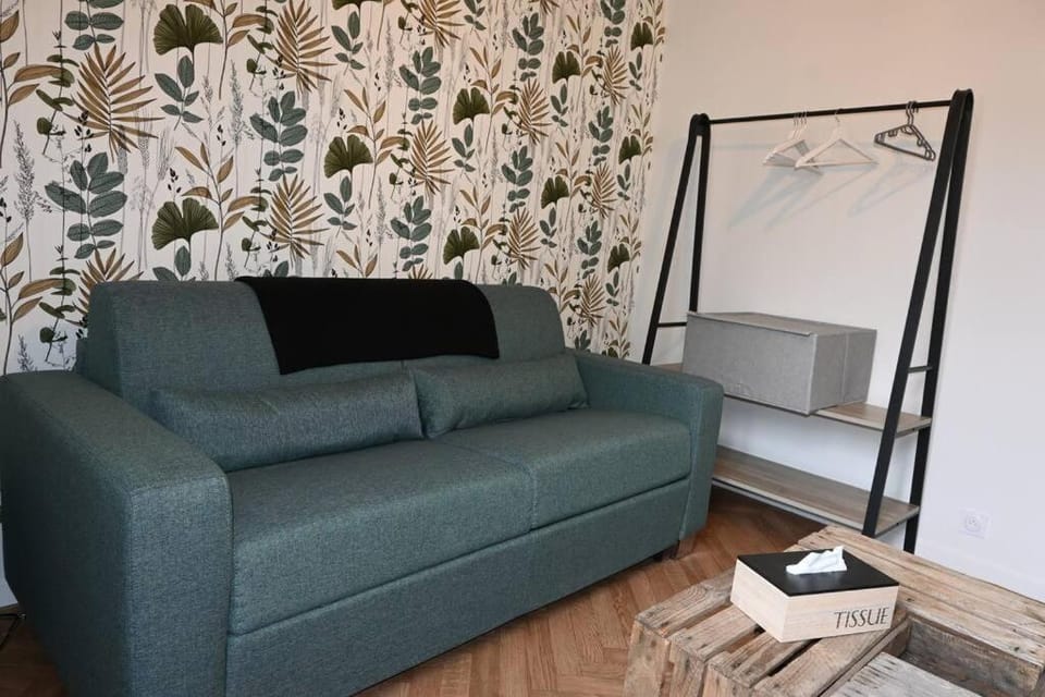 Le Botanique Centre Clim WIFI Apartment in Centre-Val de Loire