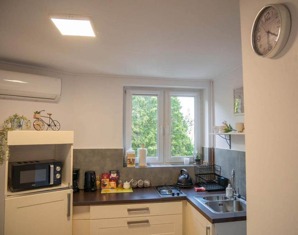 Coffee/tea facilities, Kitchen or kitchenette, microwave, stove, air conditioner