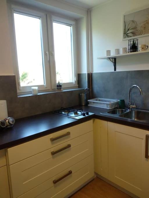 Zielony Zakątek -7 min od dworca Apartment in Lviv Oblast