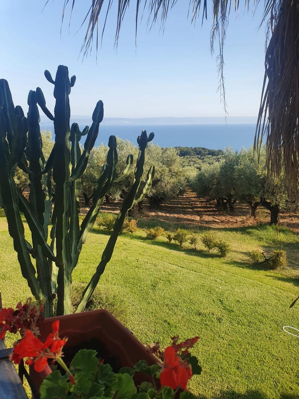 Agriturismo Parco degli Ulivi Farm Stay in Calabria
