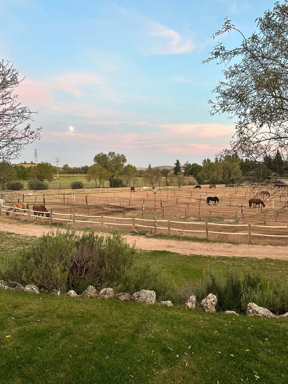 Off site, Natural landscape, Horse-riding, Animals