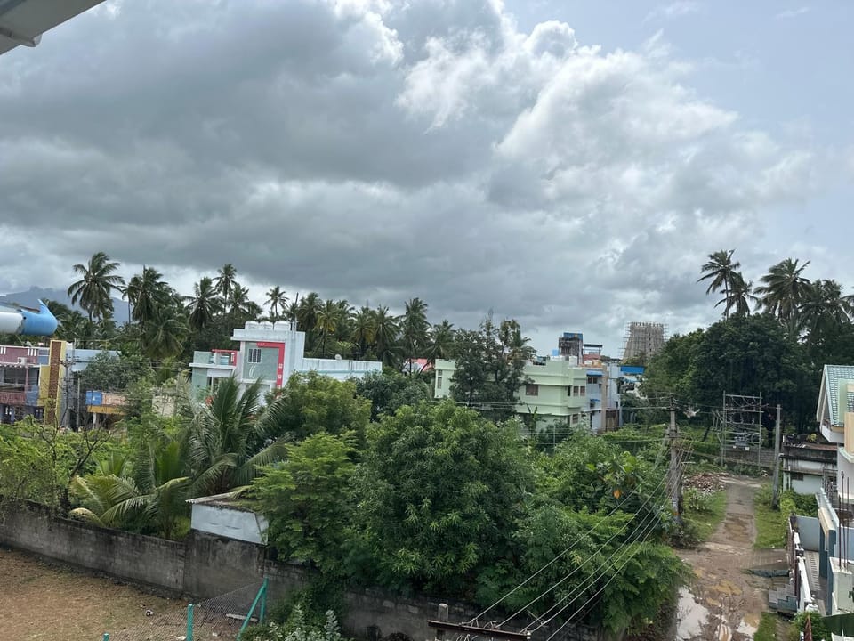 Garden view