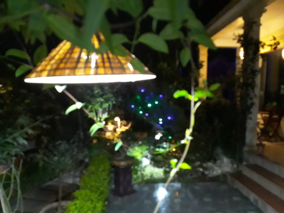 Night, Garden, Garden view