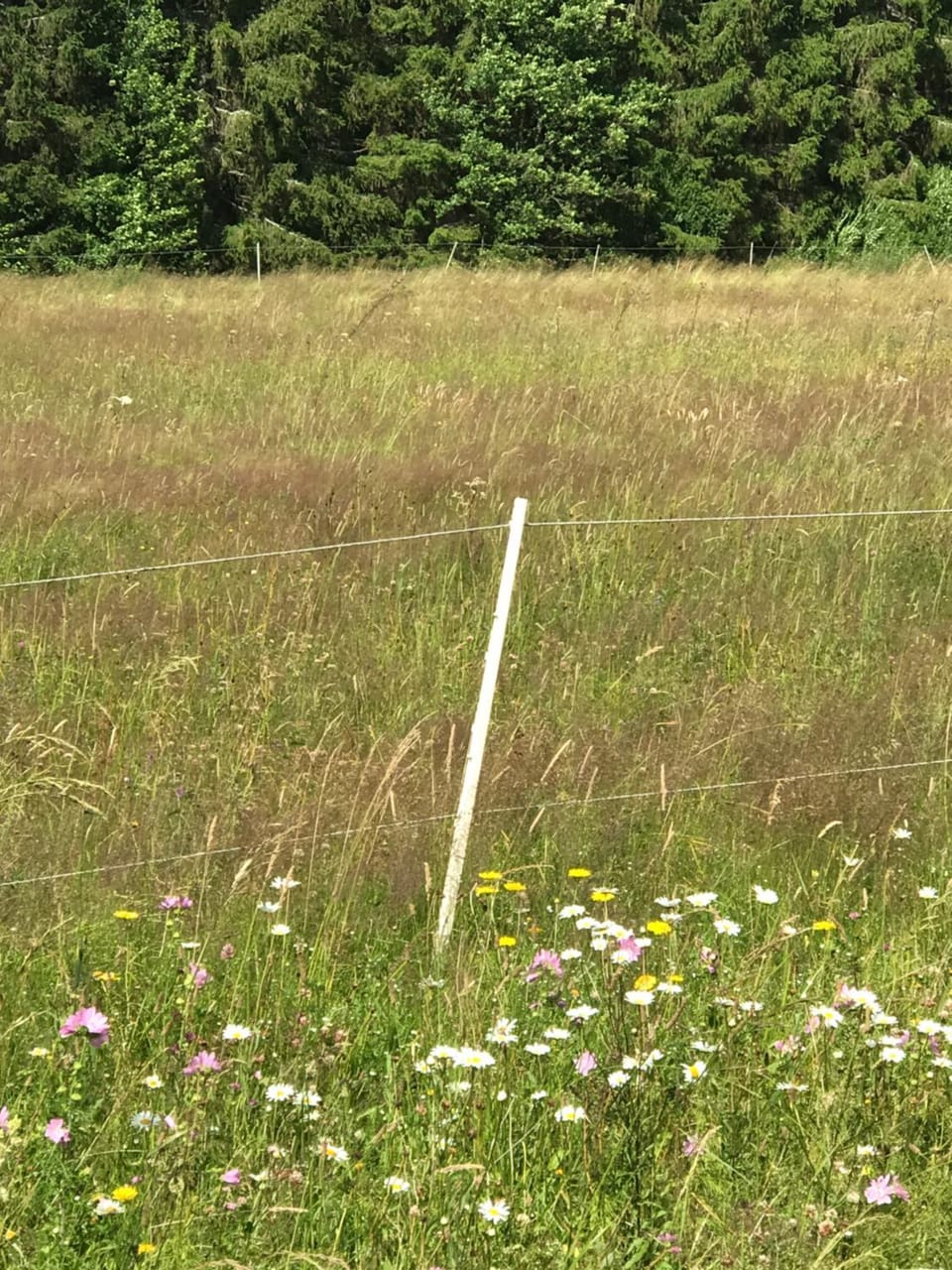 Natural landscape