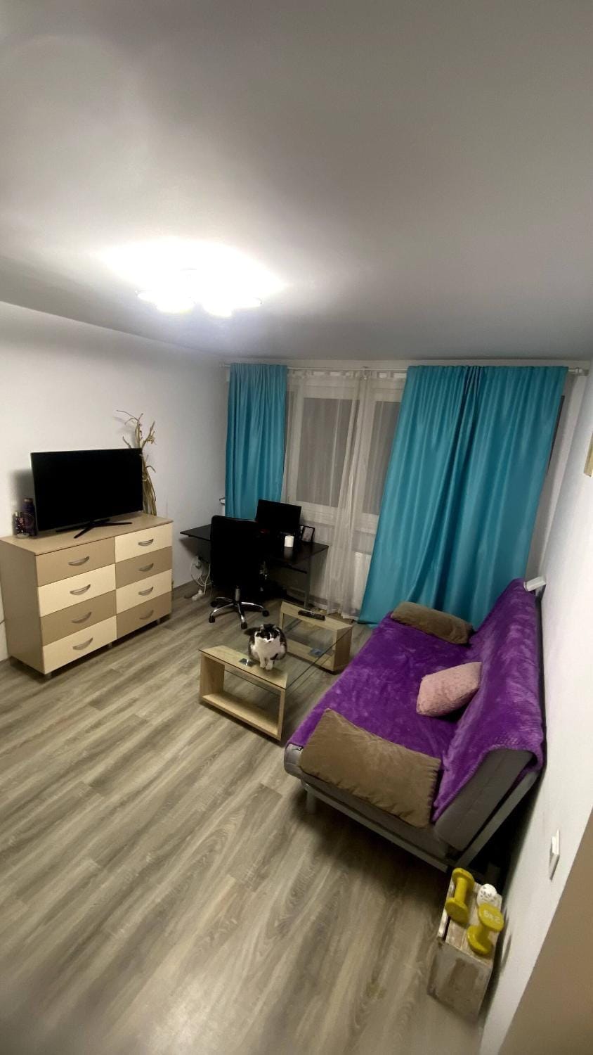 TV and multimedia, Living room, Photo of the whole room, Seating area