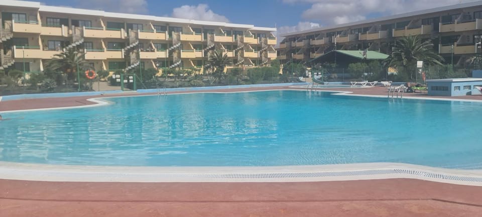 Day, Pool view, Swimming pool, sunbed