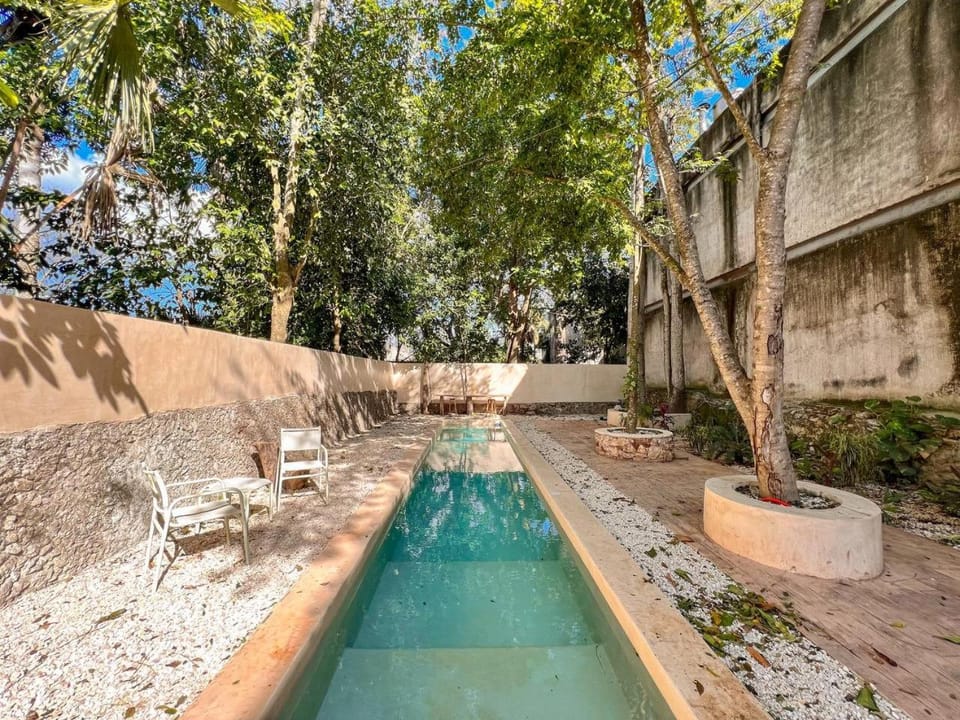 Patio, Spring, Day, Garden, Garden view, Pool view, Swimming pool, Swimming pool
