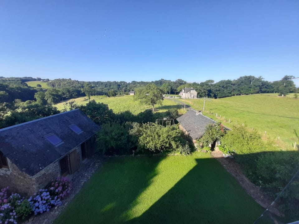 Natural landscape, Garden, View (from property/room), Garden view