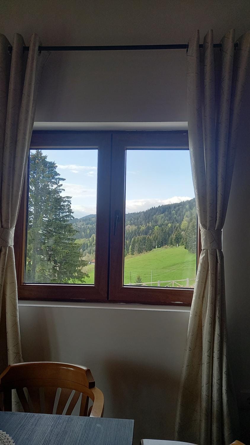 View (from property/room)