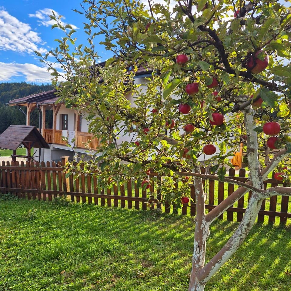 Natural landscape