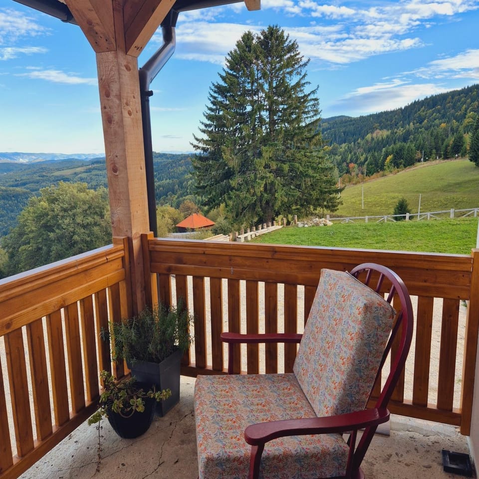Natural landscape, View (from property/room), Balcony/Terrace, Mountain view