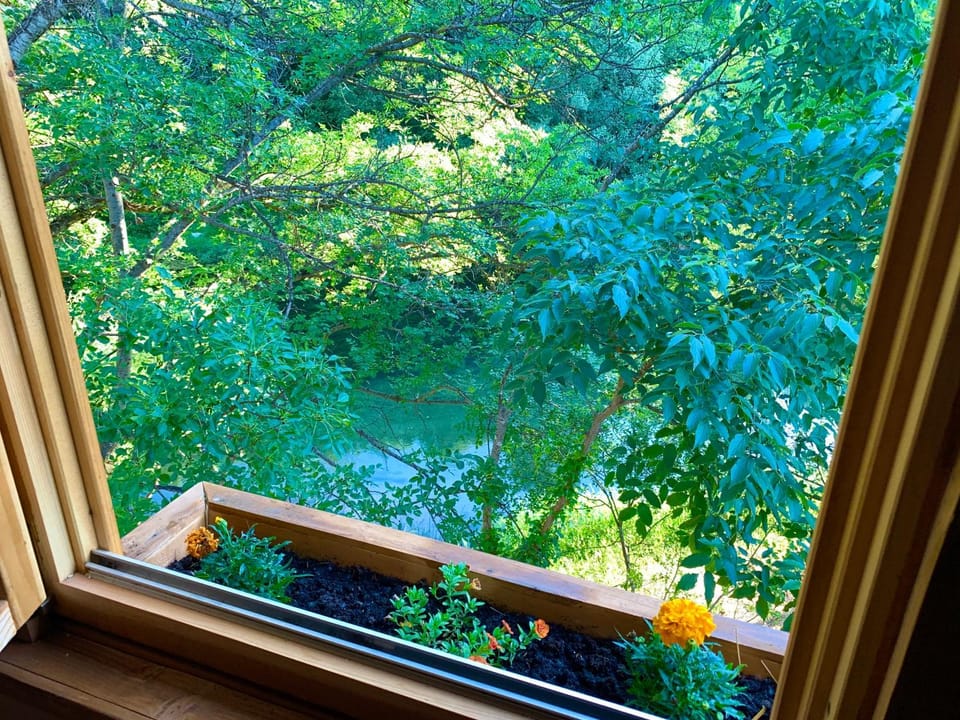 Magical Treehouse w sandy beach Campground/ 
RV Resort in Federation of Bosnia and Herzegovina