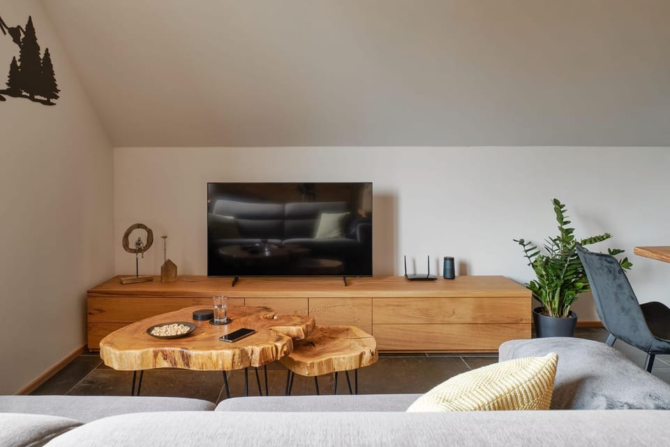 Apartmán Bedřich VI. Apartment in Czechia