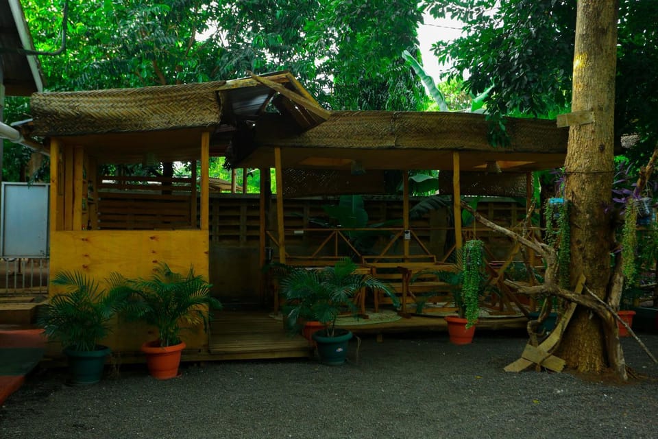 Garden, Garden view