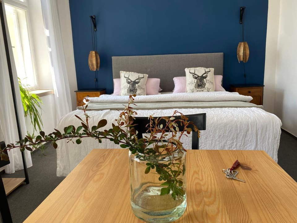 Apartment Stará Pošta Apartment in Czechia