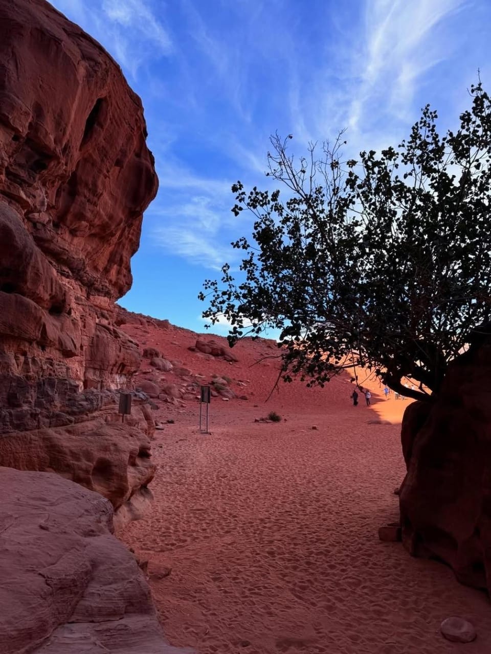 Wadi Rum Jeep Tours & Bedouin Camp - Salem Road Camp Apartment in Africa