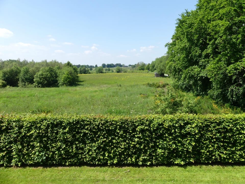 Natural landscape, Garden, Garden view