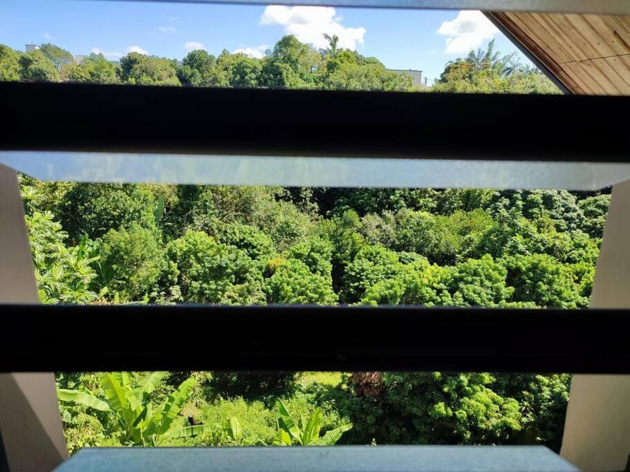 T1 - O' relax Apartment in Réunion