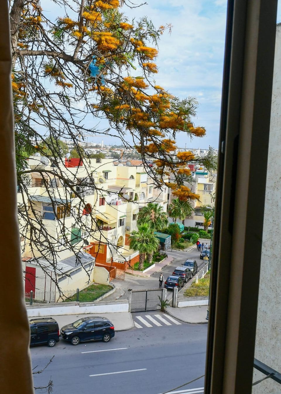 Neighbourhood, Street view, Parking