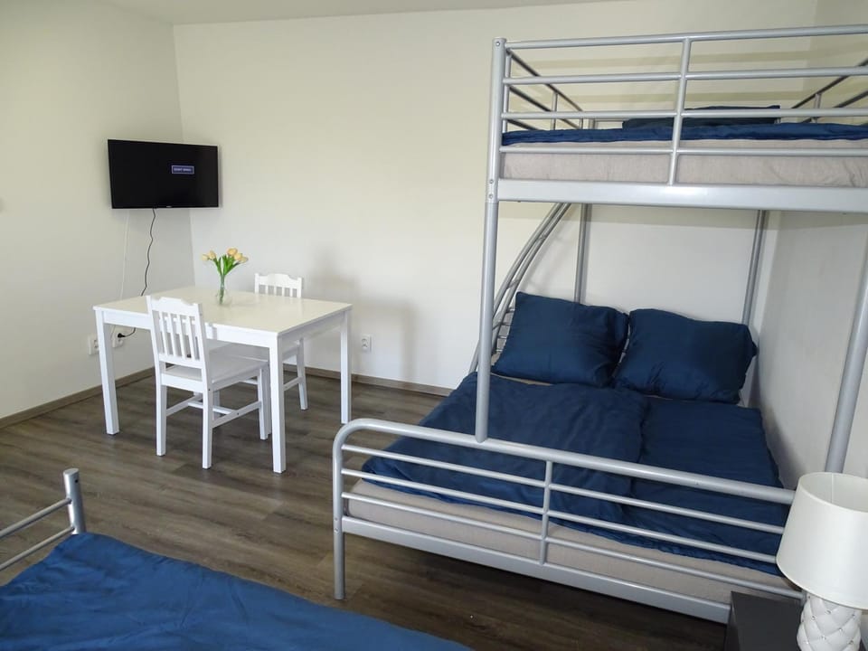 Bed, TV and multimedia, Living room, Photo of the whole room, Seating area, Dining area, Bedroom, bunk bed