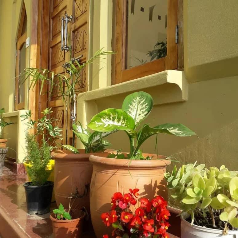 Facade/entrance, Garden view