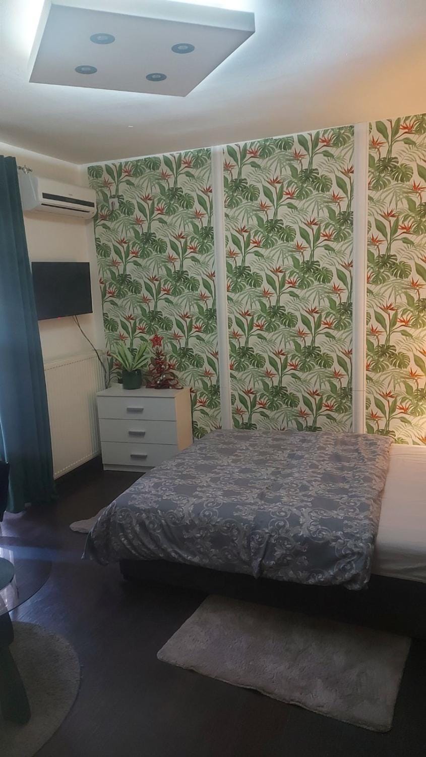 Nena Studio Apartment in Serbia