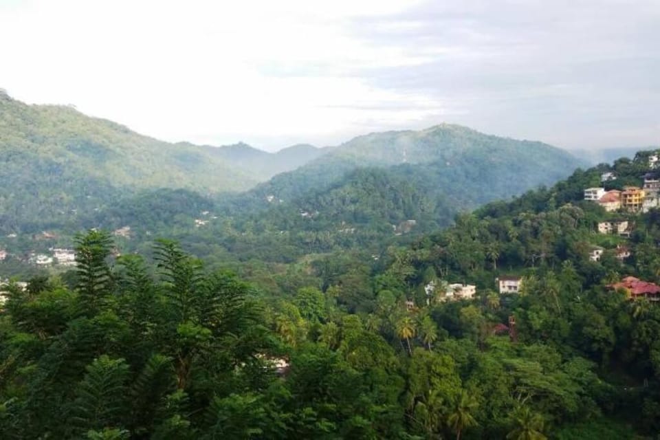 Mountain view