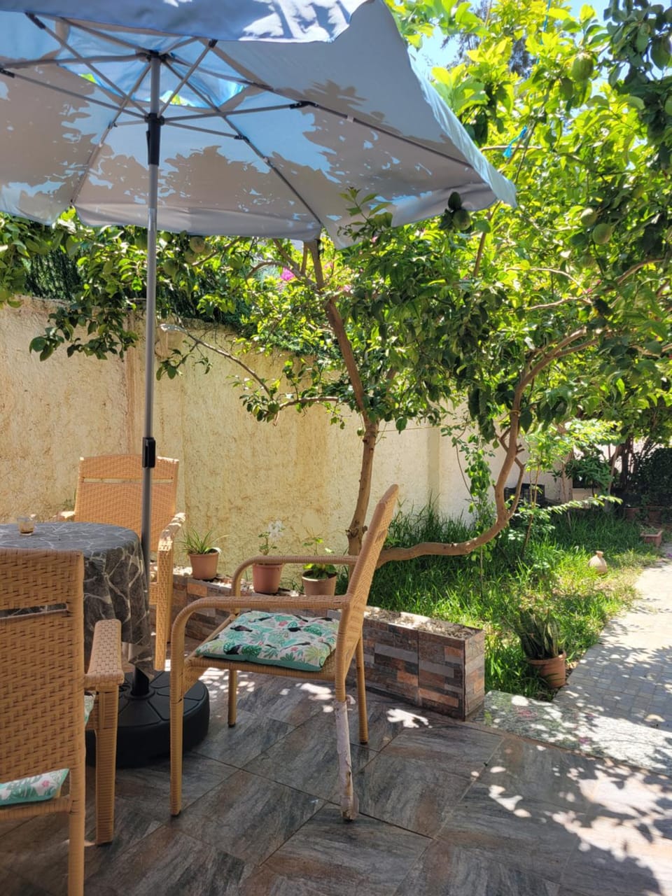 sweet home Apartment in Algiers [El Djazaïr]
