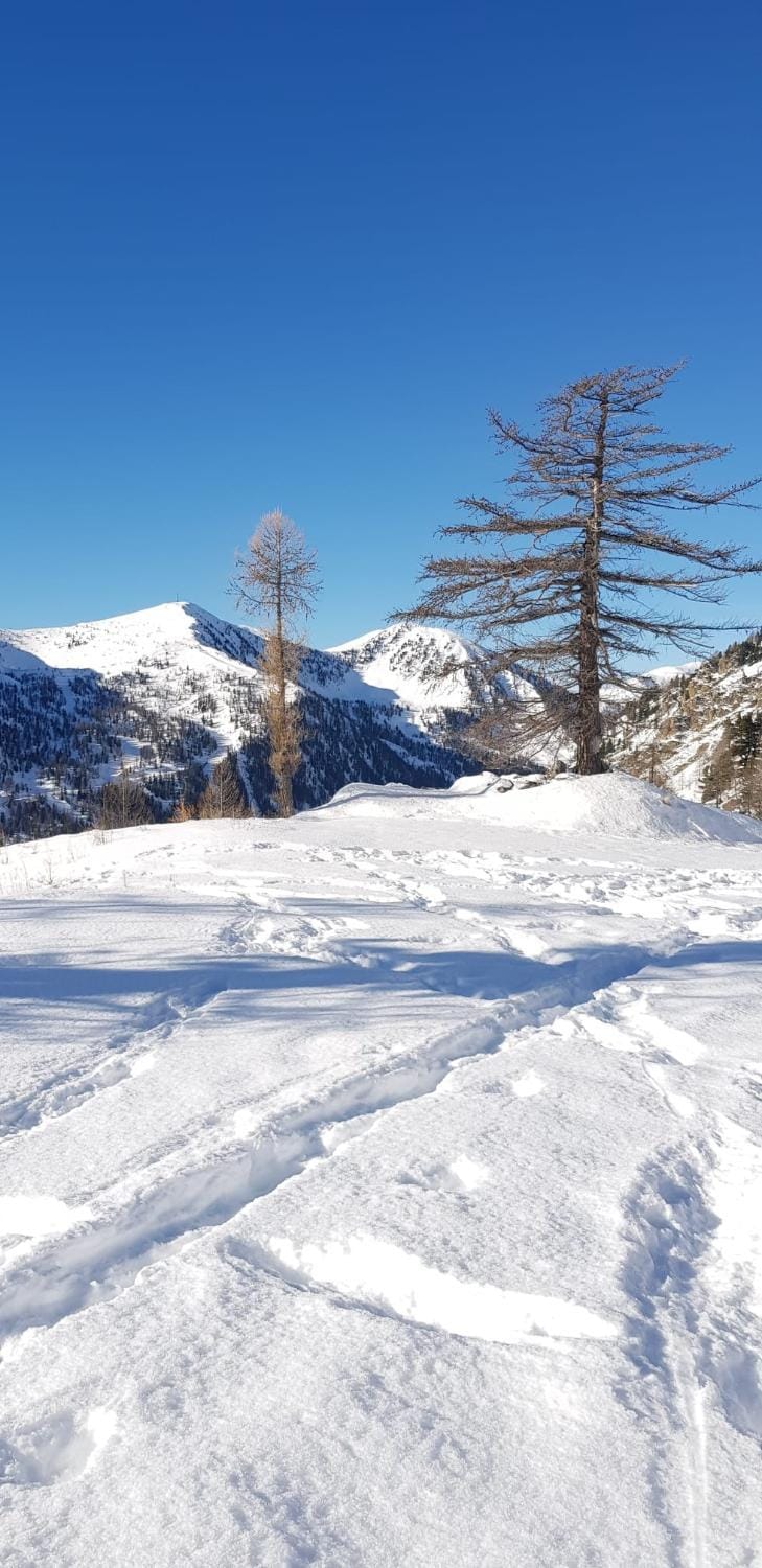 Skiing