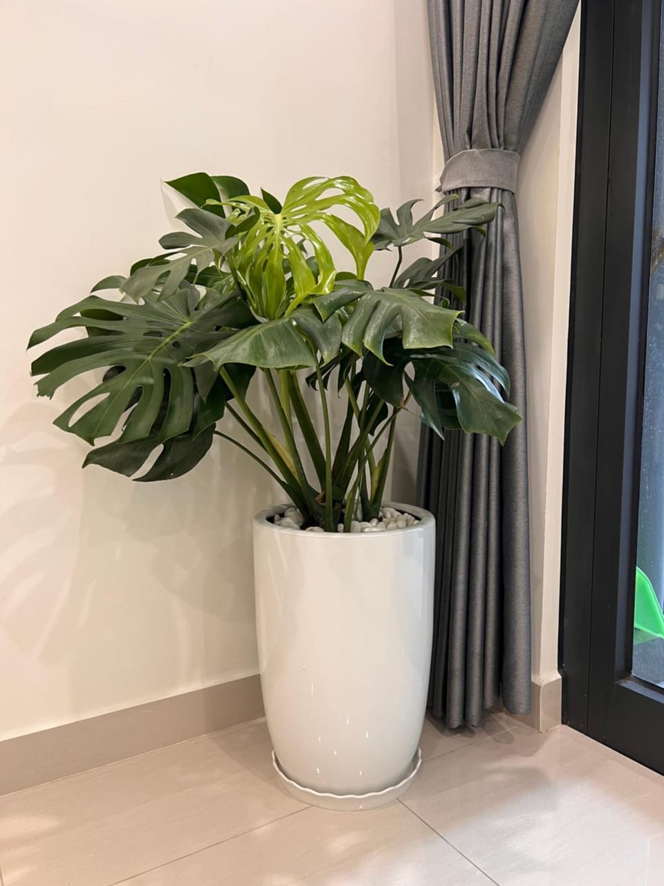 Living room, Decorative detail, Bedroom