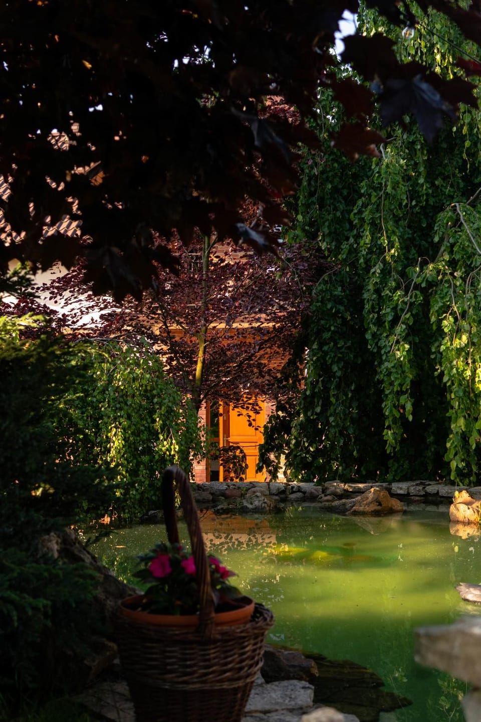 Natural landscape, Garden, Garden view