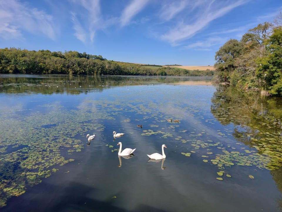 maison caroline bairon Bed and Breakfast in Wallonia, Belgium