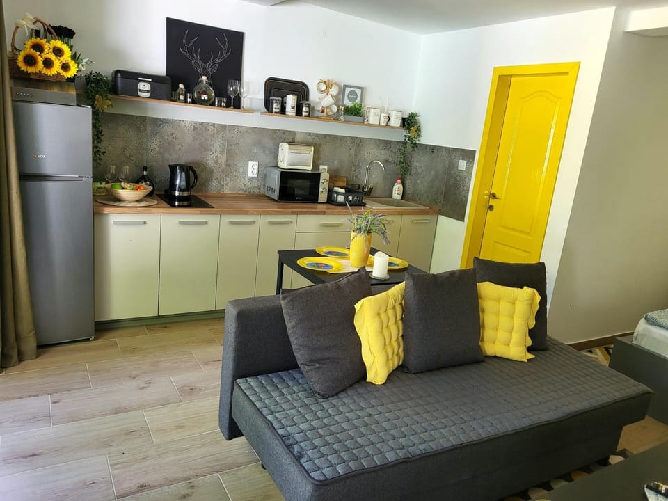 Coffee/tea facilities, Kitchen or kitchenette, Living room, Seating area, minibar, stove