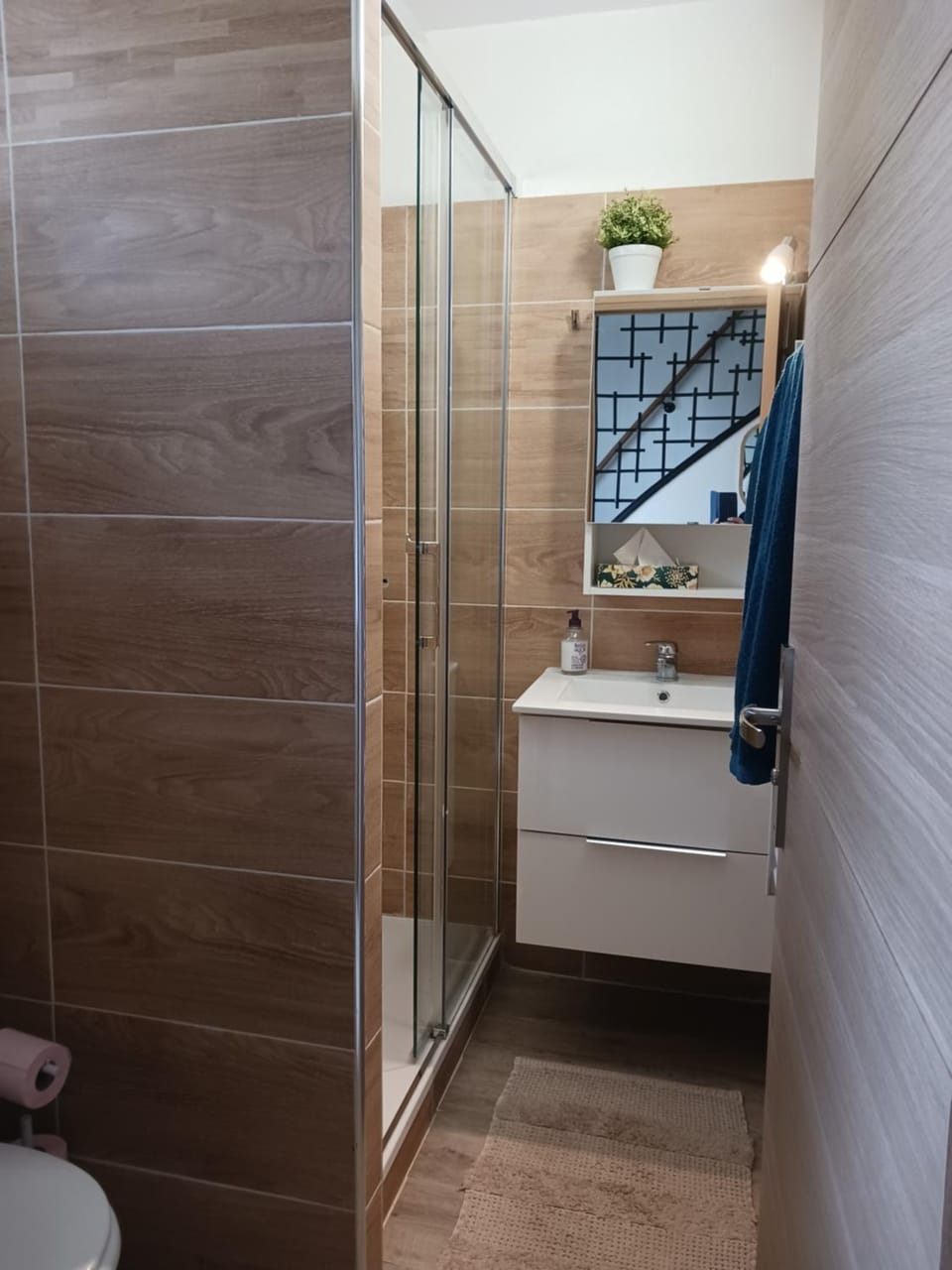 Shower, Bathroom