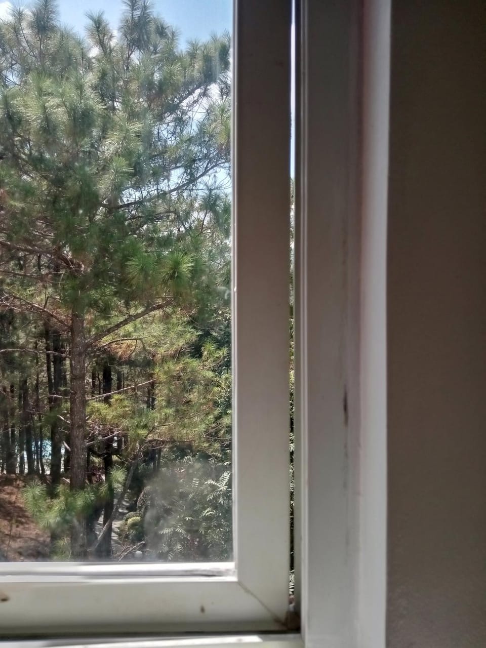 North Combrige Baguio Condominium Corp Harvard building Baring drive Purok 11 Bakakeng Sur Baguio city. Apartment hotel in Baguio