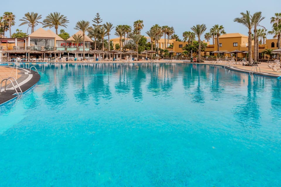 Day, Lounge or bar, Pool view, Swimming pool, sunbed