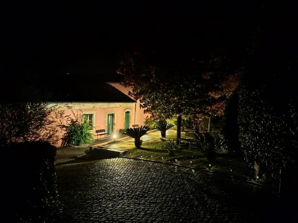 Property building, Night, Garden view