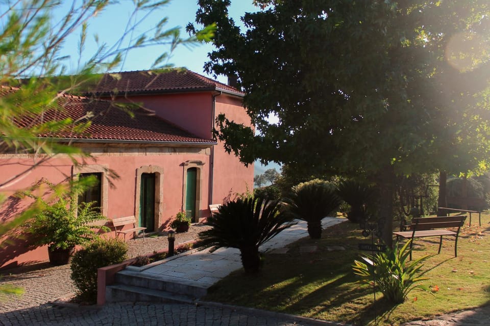 Property building, Day, Garden