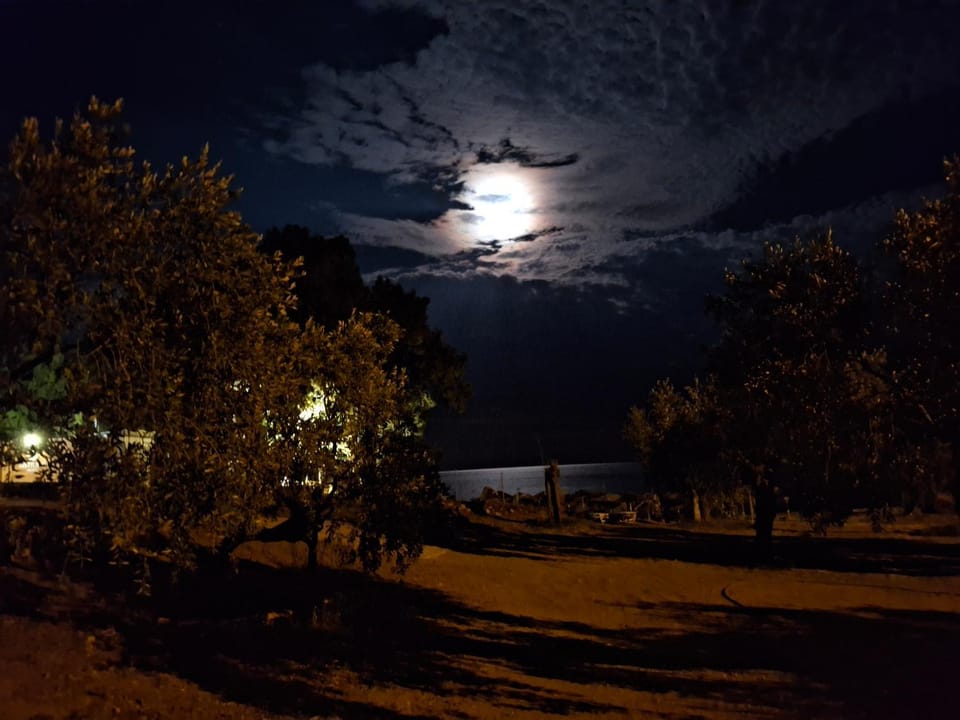 Oliviera Apartment in Thasos