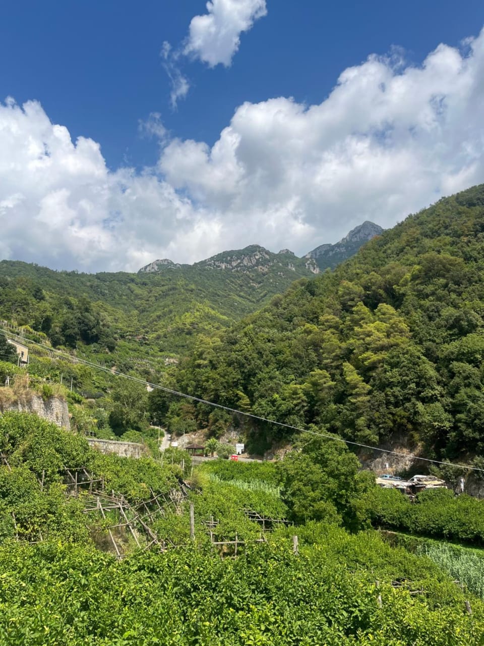Natural landscape, View (from property/room), View (from property/room), Garden view, Garden view, Mountain view, Mountain view, Inner courtyard view