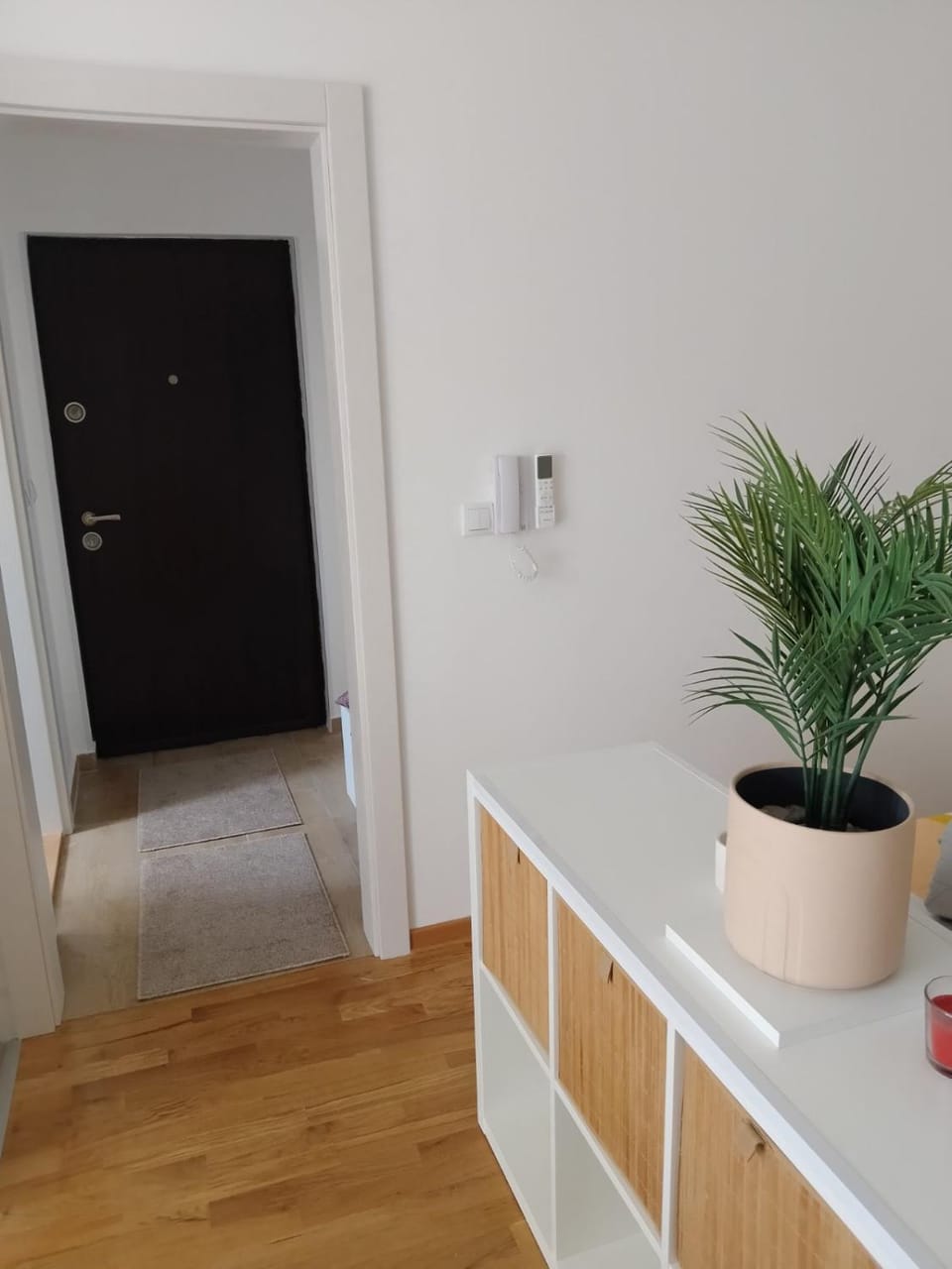Studio SIESTA Apartment in Serbia