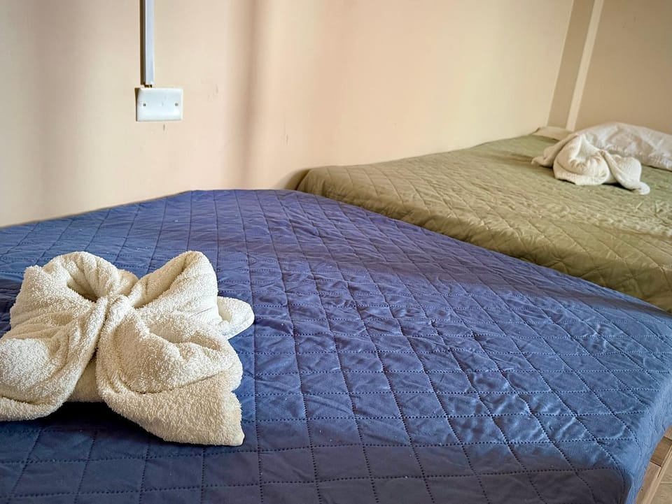 Bed, Photo of the whole room, Bedroom, towels