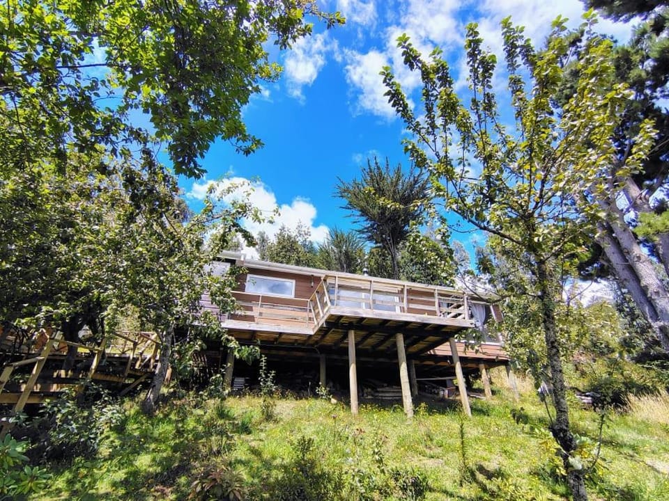 Property building, Natural landscape, Garden