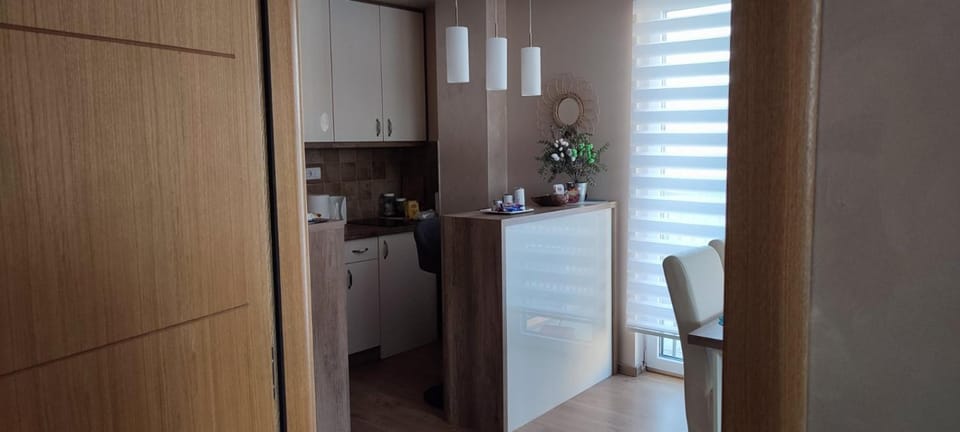 Gondola 43 Apartment in Zlatibor