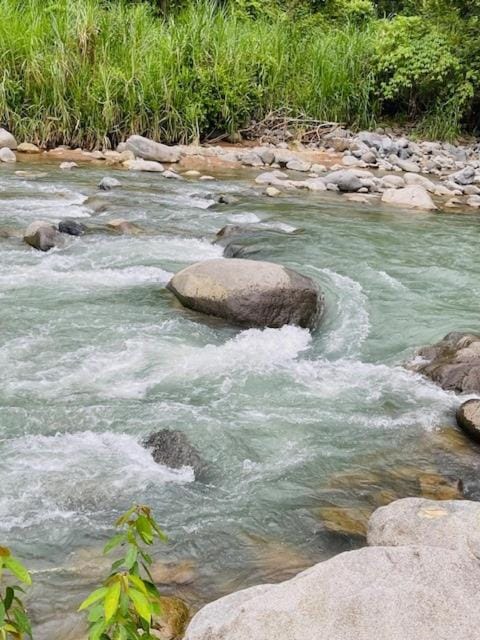 River view