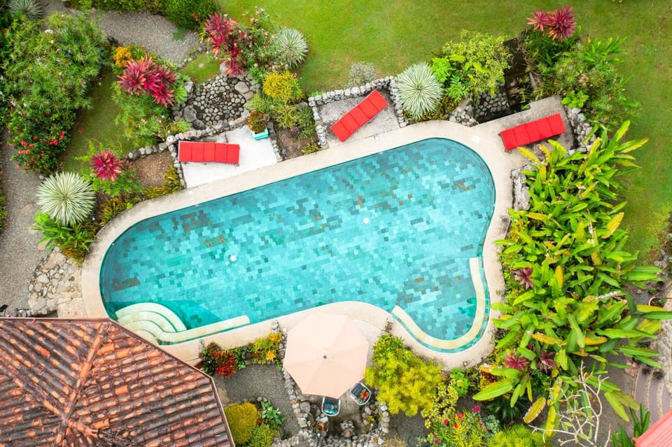 Day, Natural landscape, Garden, Garden view, Pool view, Swimming pool, Swimming pool, sunbed
