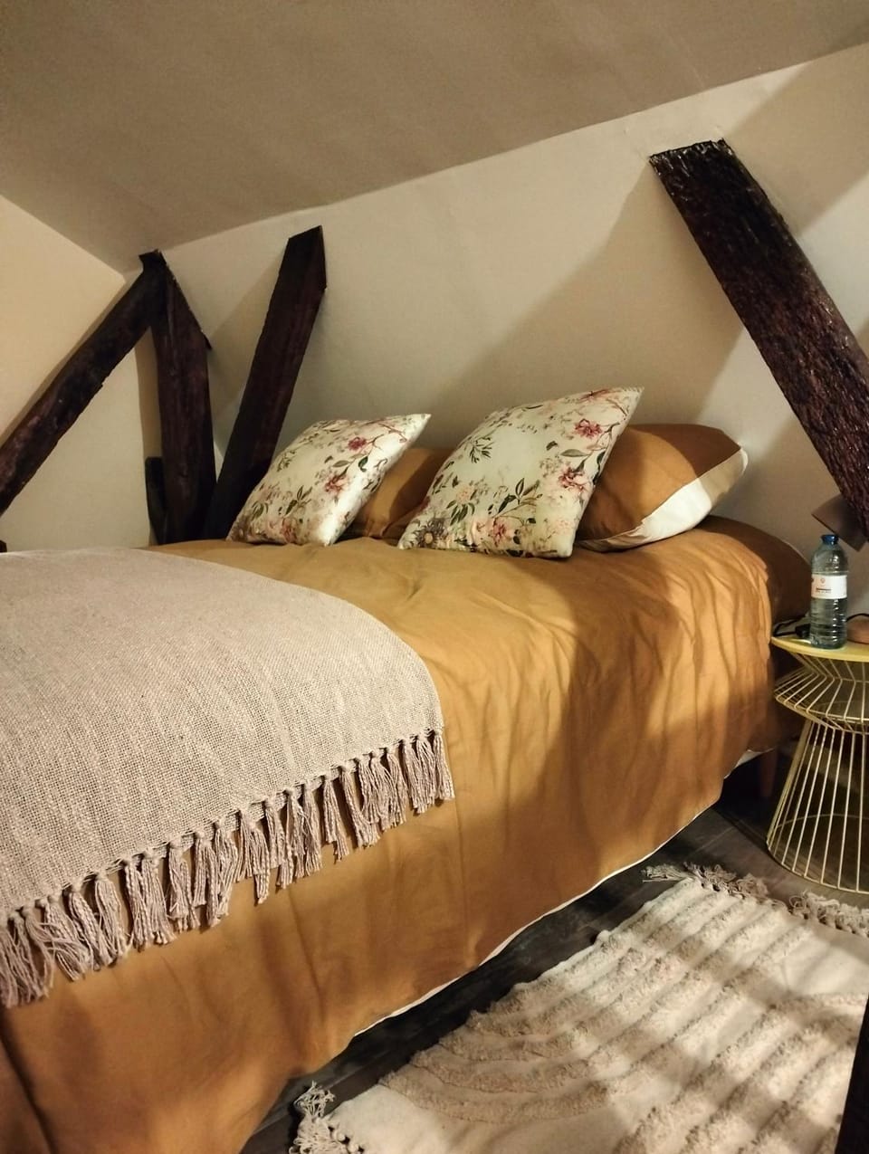 Le logis Bodard Appartement centre ville dans un hôtel particulier XIVeme avec parking et locale vélo Apartment in Centre-Val de Loire