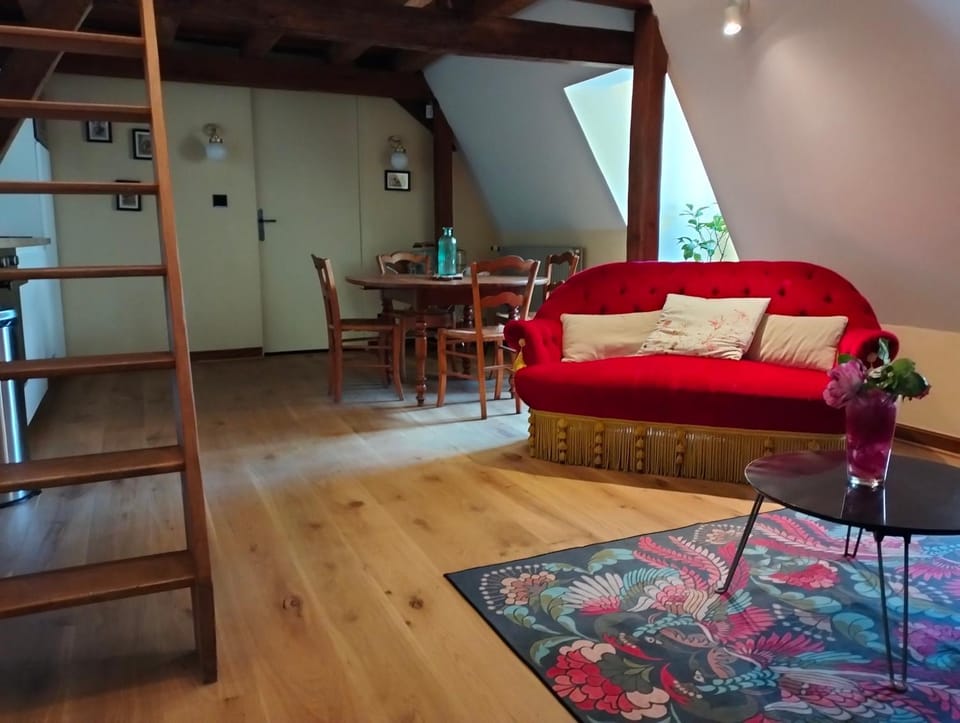 Le logis Bodard Appartement centre ville dans un hôtel particulier XIVeme avec parking et locale vélo Apartment in Centre-Val de Loire